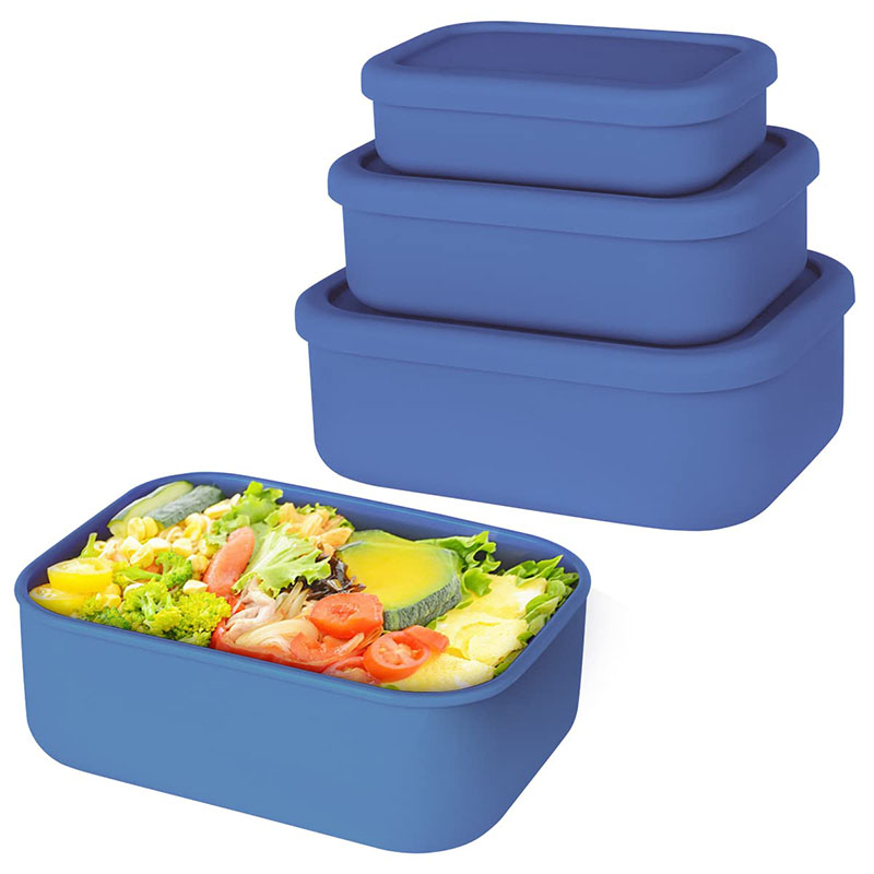 Leak-Resistant Bento Lunch Box - Meal Prep Kits 评论和价格