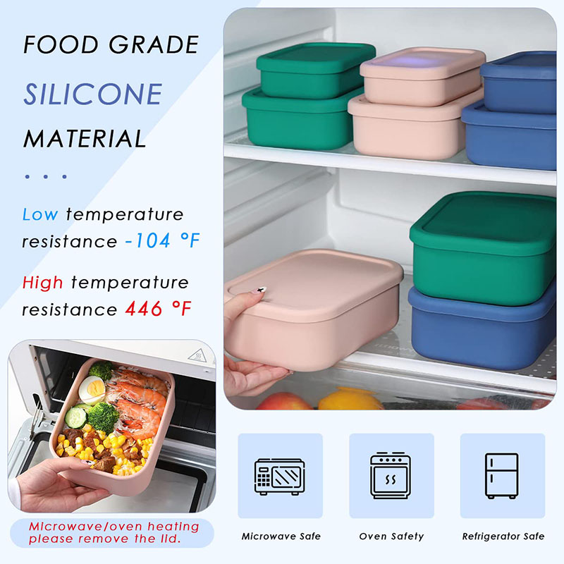 Leak-Resistant Bento Lunch Box - Meal Prep Kits 评论和价格
